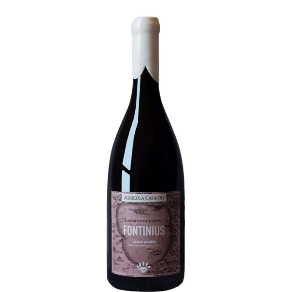 Fontinius-Gamay-Umbria-IGT---Casaioli-Stefano