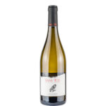 Sauvignon-Friuli-DOC---Sass-ter