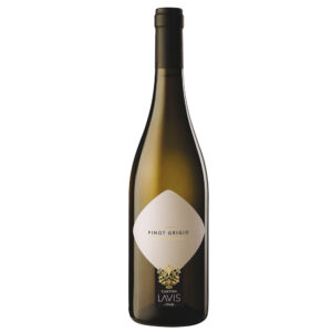Pinot Grigio - Trentino DOC - Lavis