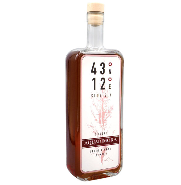 sloe-gin-27-700-ml-anonima-distillazioni-gubbio