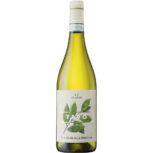 tavo-pinot-grigio-delle-venezie-doc-ilauri